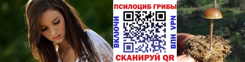 цена наркотик  Кирсанов  Псилоцибиновые грибы Psilocybine cubensis 